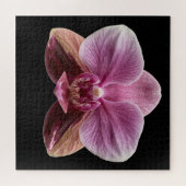 Puzzel (Horizontaal)