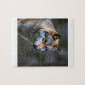 Puzzel  (Horizontaal)