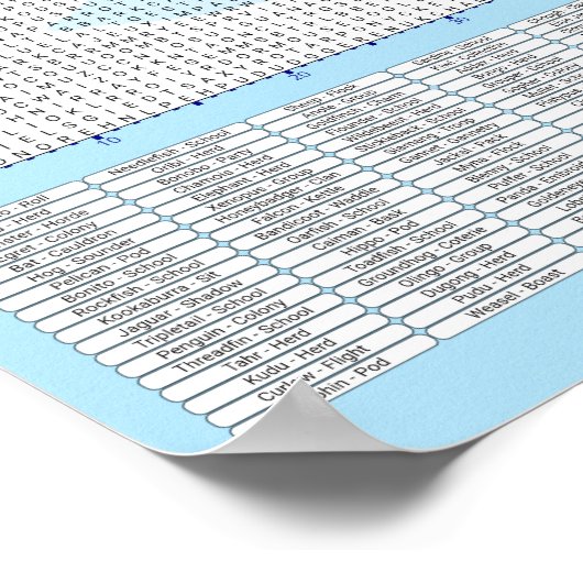 PUZZEL #6: Dierengroepen - Standaard Poster (Hoek)