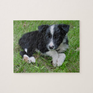 puzzel aan de rand Collie! Legpuzzel