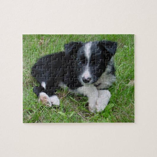  puzzel aan de rand Collie! Legpuzzel (Horizontaal)