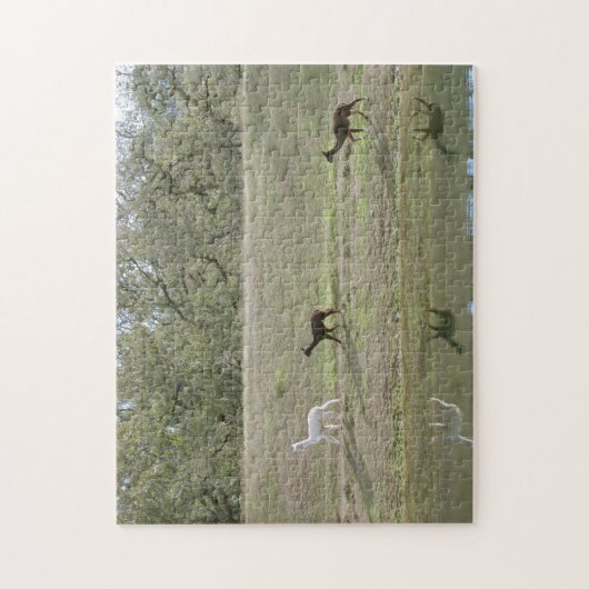 Puzzel - Alpakka's op de heuvel (Verticaal)