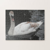 Puzzel Baby Zwaan Zwemt (Horizontaal)