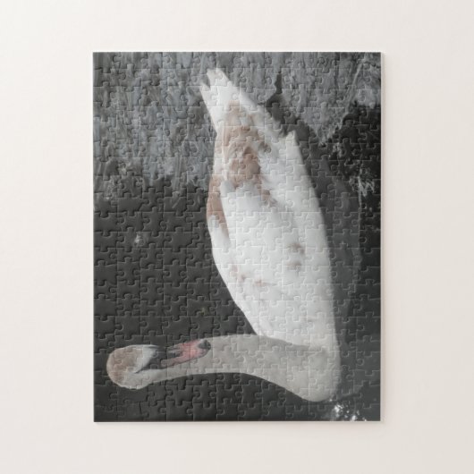 Puzzel Baby Zwaan Zwemt (Verticaal)