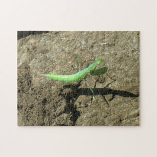 Puzzel - bidsprinkhaan