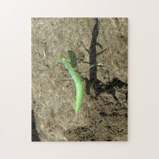 Puzzel - bidsprinkhaan legpuzzel (Verticaal)