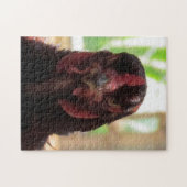 Puzzel - Boze kip Legpuzzel (Horizontaal)