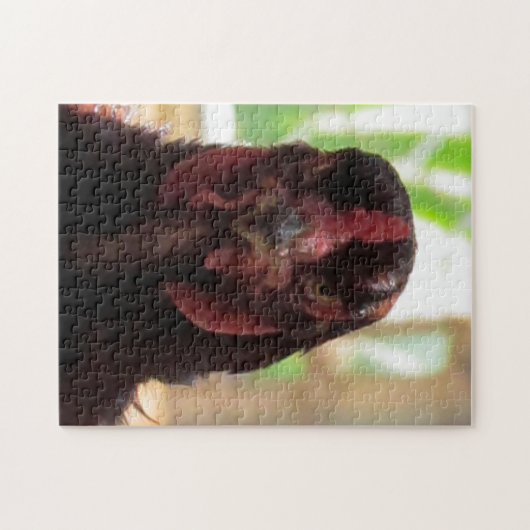 Puzzel - Boze kip Legpuzzel (Horizontaal)