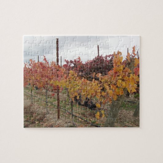 Puzzel: California Vineyard voor Oogst in Nov Legpuzzel (Horizontaal)