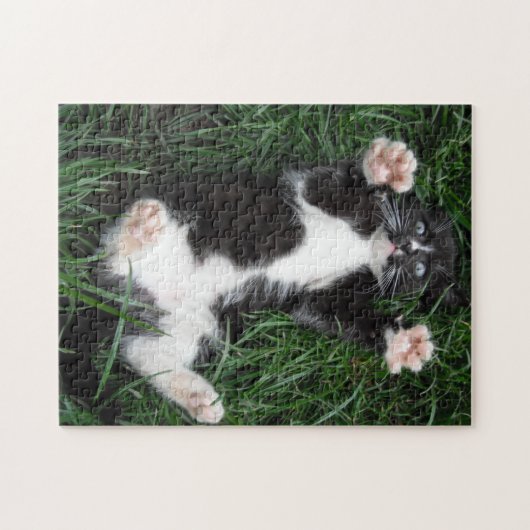 Puzzel Cat Knuffels (Horizontaal)