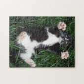 Puzzel Cat Knuffels Legpuzzel (Horizontaal)
