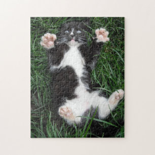 Puzzel Cat Knuffels Legpuzzel