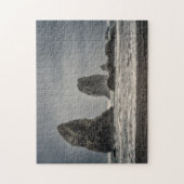 Puzzel: De naalden 1 Legpuzzel (Verticaal)