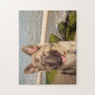 Puzzel Duitse herder bij het Zee