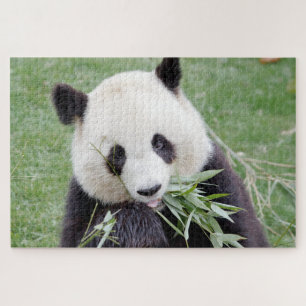 puzzel Foto reus panda, animal 0342.