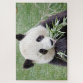 puzzel Foto reus panda, animal 0342. (Verticaal)