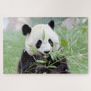 puzzel Foto reus panda, animal 0343. Legpuzzel