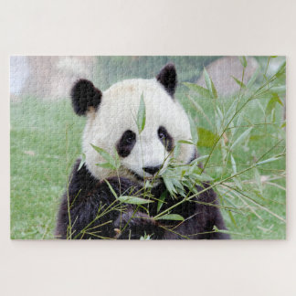 puzzel Foto reus panda, animal 0343. Legpuzzel