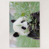 puzzel Foto reus panda, animal 0343. Legpuzzel (Verticaal)