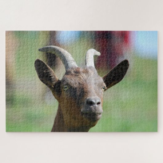 puzzel _ geit (Horizontaal)