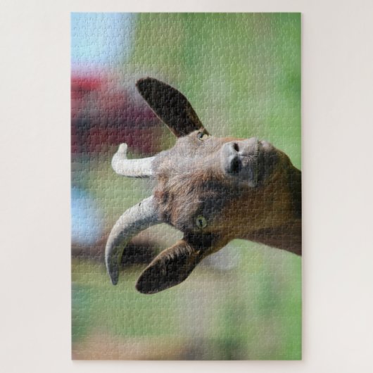 puzzel _ geit (Verticaal)