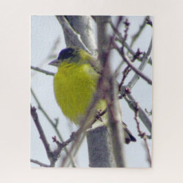 Puzzel - Gele vink in de winterboom