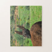 Puzzel: Gelukkige Ezel Legpuzzel (Verticaal)