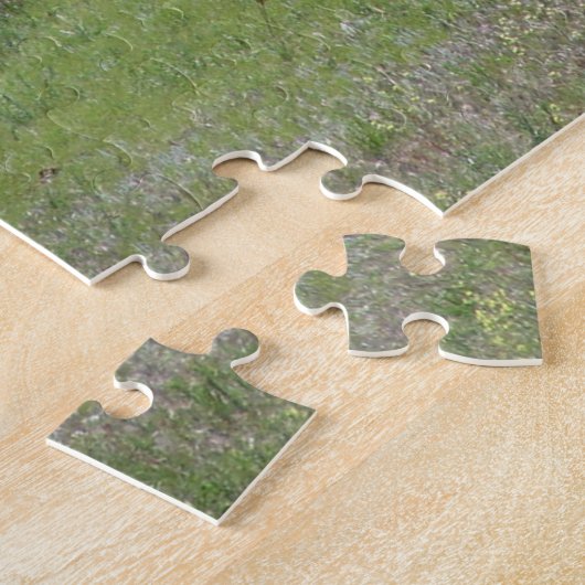 puzzel - Geschilderde paarden (Zijkant)