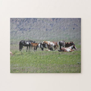 puzzel - Geschilderde paarden Legpuzzel