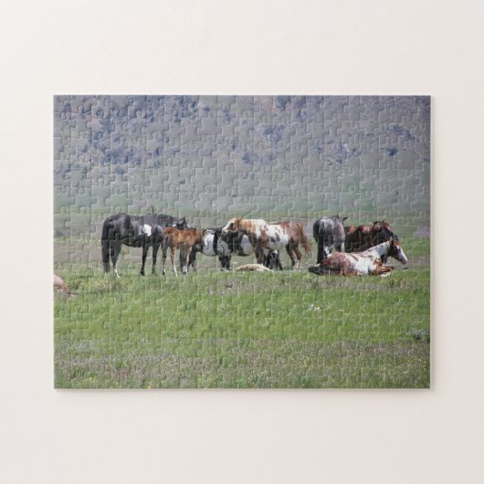 puzzel - Geschilderde paarden Legpuzzel (Horizontaal)