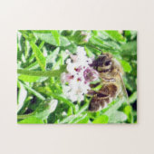 Puzzel - Honingbij (Horizontaal)