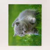 Puzzel - Kittens aan het spelen (Verticaal)
