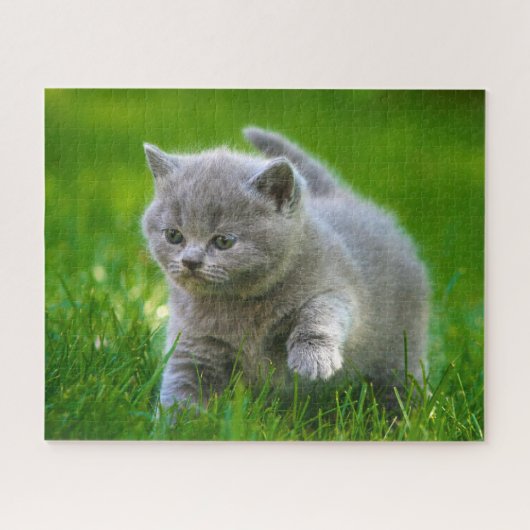 Puzzel - Kittens aan het spelen (Horizontaal)