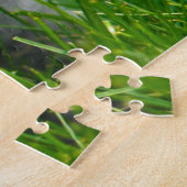 Puzzel - Kittens aan het spelen (Zijkant)