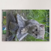 Puzzel kleine kat op de top van een Marokko. Legpuzzel (Horizontaal)