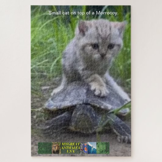 Puzzel kleine kat op de top van een Marokko. Legpuzzel (Verticaal)