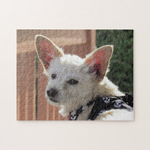 Puzzel - kleine witte hond legpuzzel