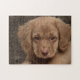 Puzzel - Knuffige Bruine Pup