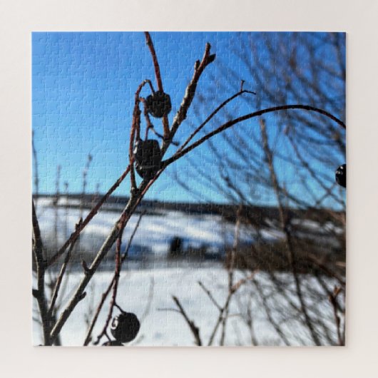 Puzzel Landschap Winterbessen (Verticaal)