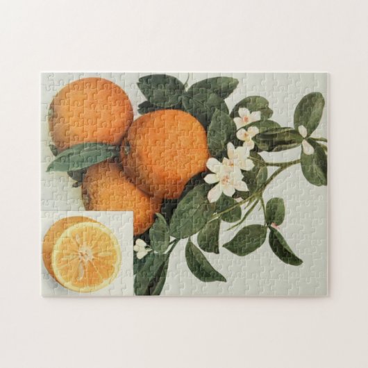 puzzel legpuzzel (Horizontaal)