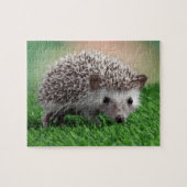 puzzel legpuzzel (Horizontaal)