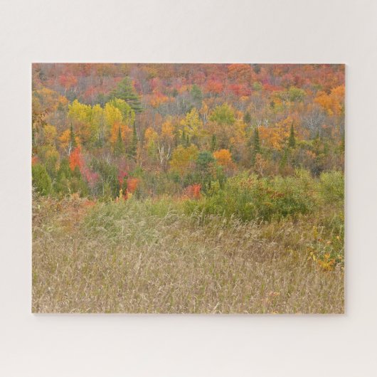 PUZZEL/"LEVENDIG PLATTELAND IN HERFST" LEGPUZZEL (Horizontaal)