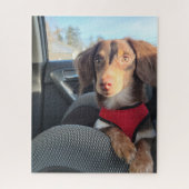 puzzel met Kio de puppy Legpuzzel (Verticaal)