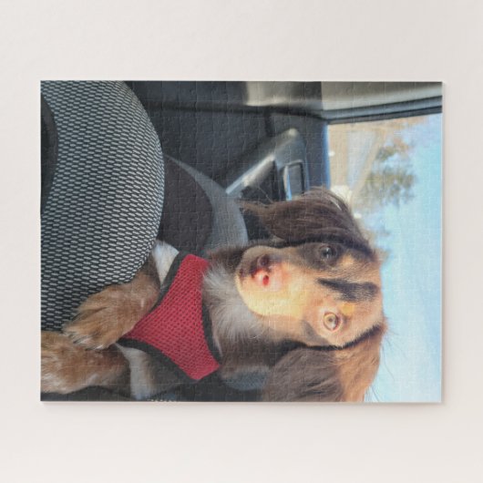 puzzel met Kio de puppy Legpuzzel (Horizontaal)