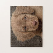 Puzzel - Mooie bruine puppy (Verticaal)
