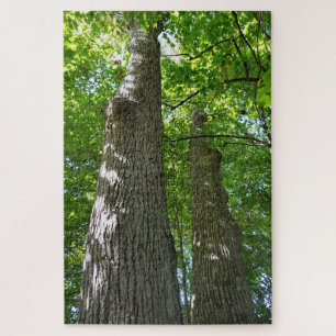 Puzzel over 1.000 stuks, die Bomen met het bloeden