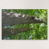 Puzzel over 1.000 stuks, die Bomen met het bloeden Legpuzzel (Horizontaal)