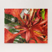 Puzzel Royal Poinciana (Horizontaal)