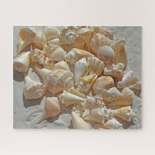 Puzzel - Schelpen op het strand (Horizontaal)