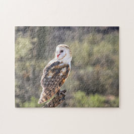Puzzel: Schuur Uil 1 Legpuzzel